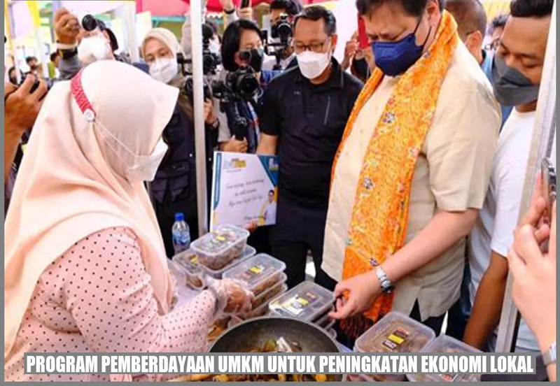 Peran Pemerintah Dalam Pemberdayaan Usaha Mikro Kecil UMKM