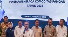 Dampak Ekonomi Penghentian Impor Bahan Pangan Beras 2025
