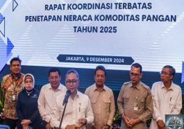 Dampak Ekonomi Penghentian Impor Bahan Pangan Beras 2025