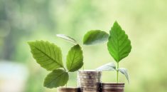 Investasi Cerdas di Indonesia