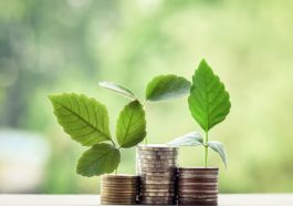 Investasi Cerdas di Indonesia