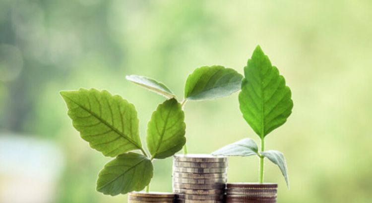 Investasi Cerdas di Indonesia