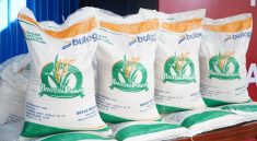 Bantuan Pangan Beras Siap Disalurkan Akhir Juni 2025