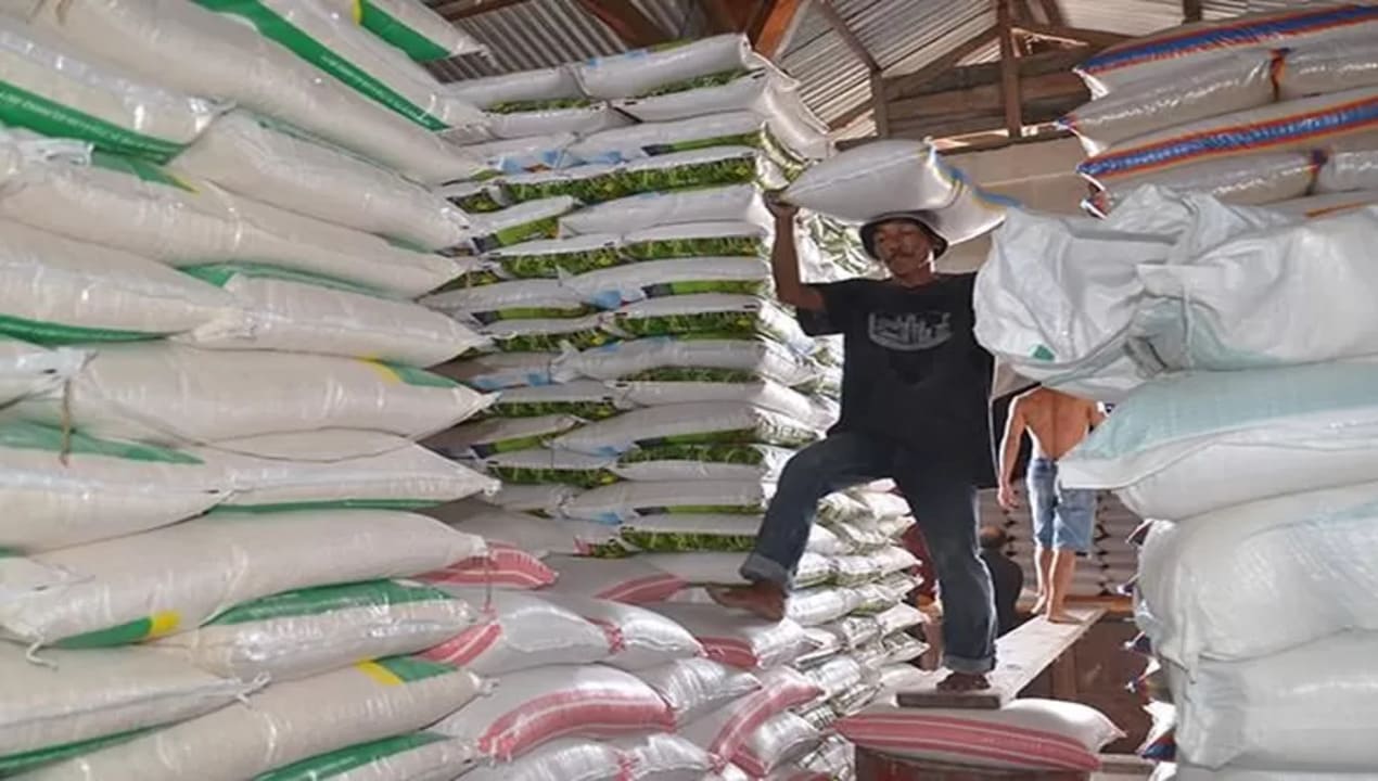 Beras Oplosan Pemerintah Buka Adu Hasil Uji Perbaiki Mutu
