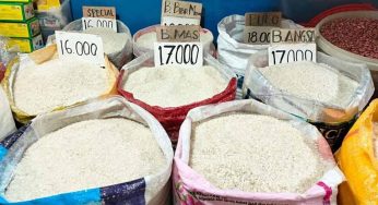 Harga Beras Medium Melonjak, Faktor Penyebab dan Dampaknya