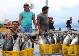 Legalitas Izin Produk Perikanan Tingkatkan Daya Saing Nasional